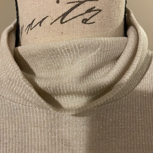 EUC Express women’s gold shimmer turtleneck top XL - Picture 3 of 6